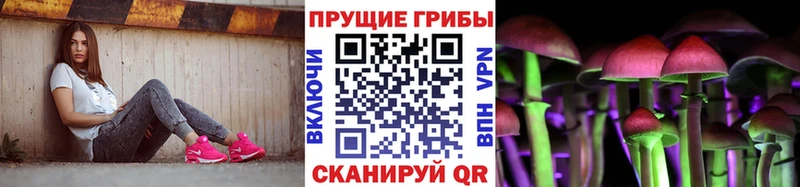 где можно купить   Буйнакск  Галлюциногенные грибы мицелий 
